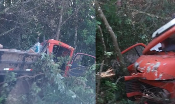 Caminhão sai da pista e colide em árvores na ERS-135, em Erechim